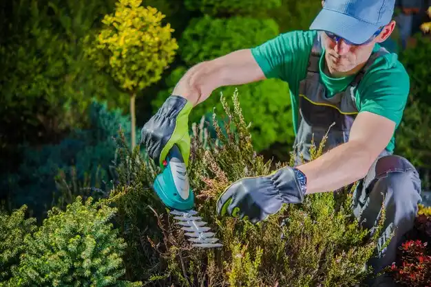 landscaping services Whitmore Lake